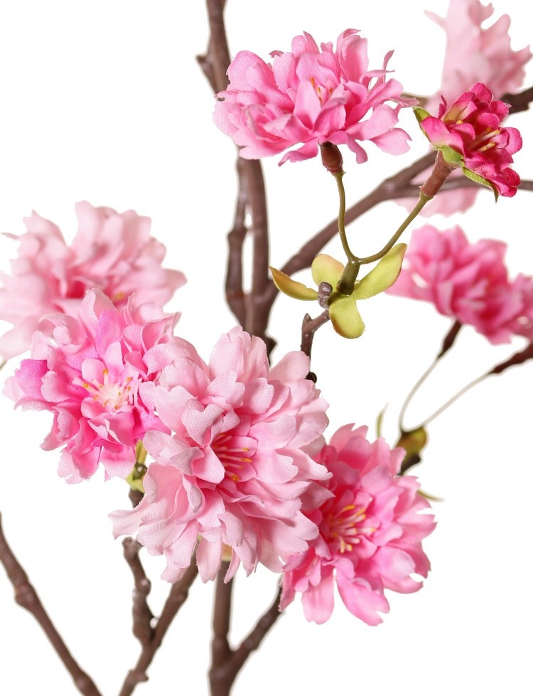 Peach Blossom Branch (Prunus persica) 'XL', with 23 flowers, 9 flower buds & 10 leaf tufts, 110 cm