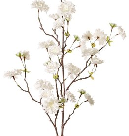 Pfirsichblütenzweig (Prunus persica) 'XL', mit 23 Blüten, 9 Blütenknospen & 10 Blattbüscheln, 110 cm