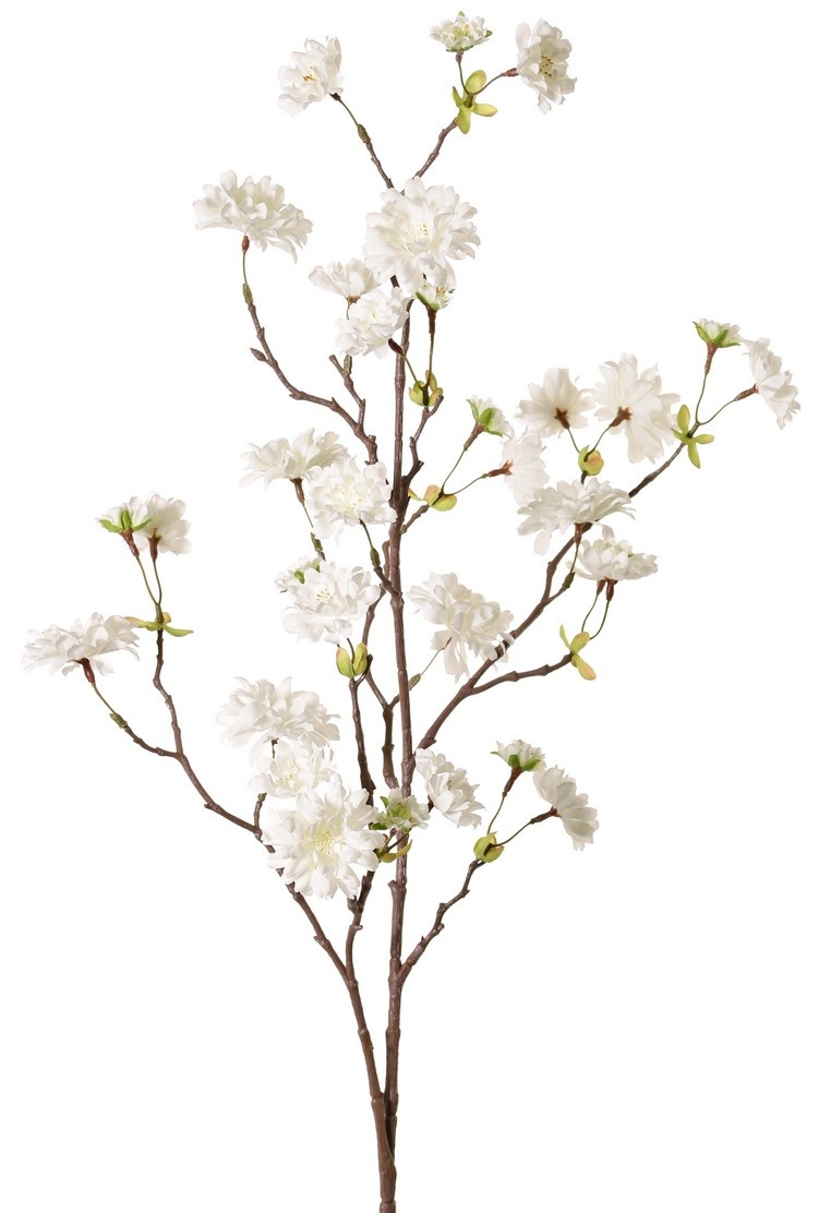 Perzikbloesemtak (Prunus persica) 'XL', met 23 bloemen, 9 bloemknoppen & 10 bladtoefjes, 110 cm