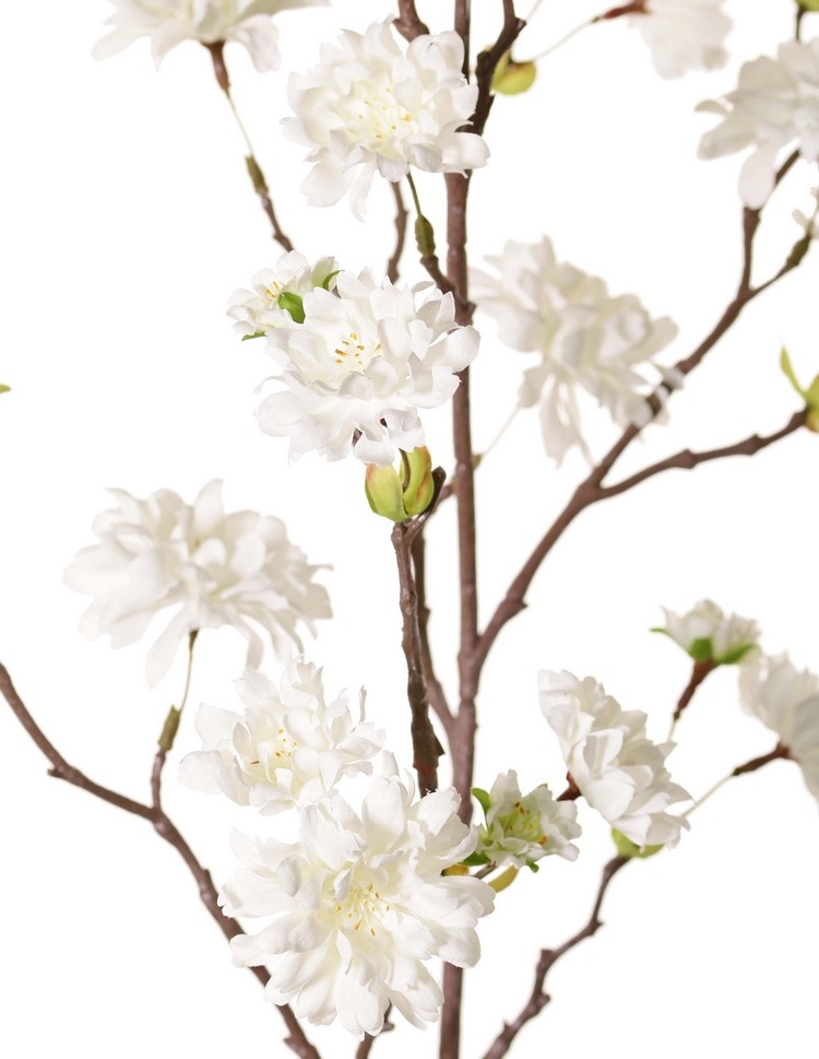 Pfirsichblütenzweig (Prunus persica) 'XL', mit 23 Blüten, 9 Blütenknospen & 10 Blattbüscheln, 110 cm