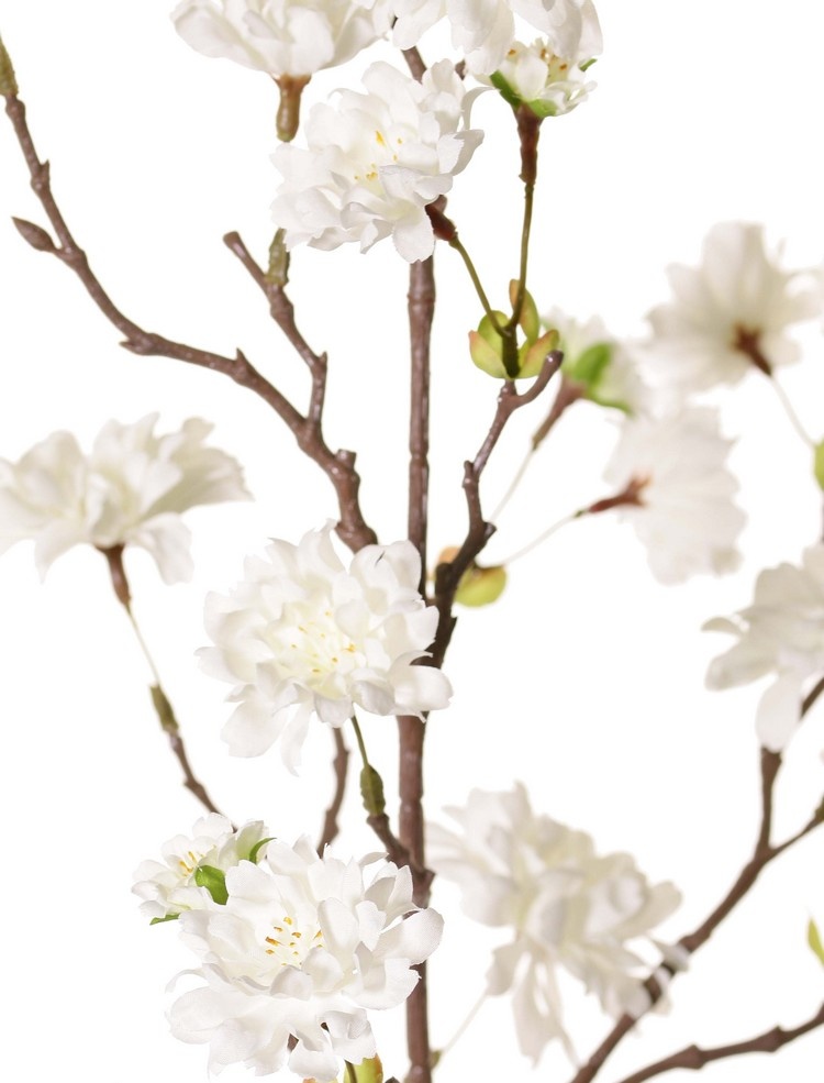 Peach Blossom Branch (Prunus persica) 'XL', with 23 flowers, 9 flower buds & 10 leaf tufts, 110 cm