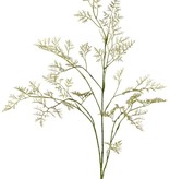 Limonium (Strandflieder, Meerlavendel) 3x verzweigt, 57 Blütenstände, 100 cm