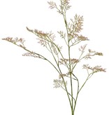 Limonium 3x ramificado, 57 inflorescencias, 100 cm