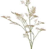 Limonium (Strandflieder, Meerlavendel) 3x verzweigt, 57 Blütenstände, 100 cm