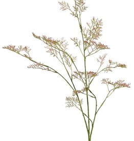 Limonium (sea-lavender, statice, marsh-rosemary) 3x branched, 57 inflorescences, 100 cm