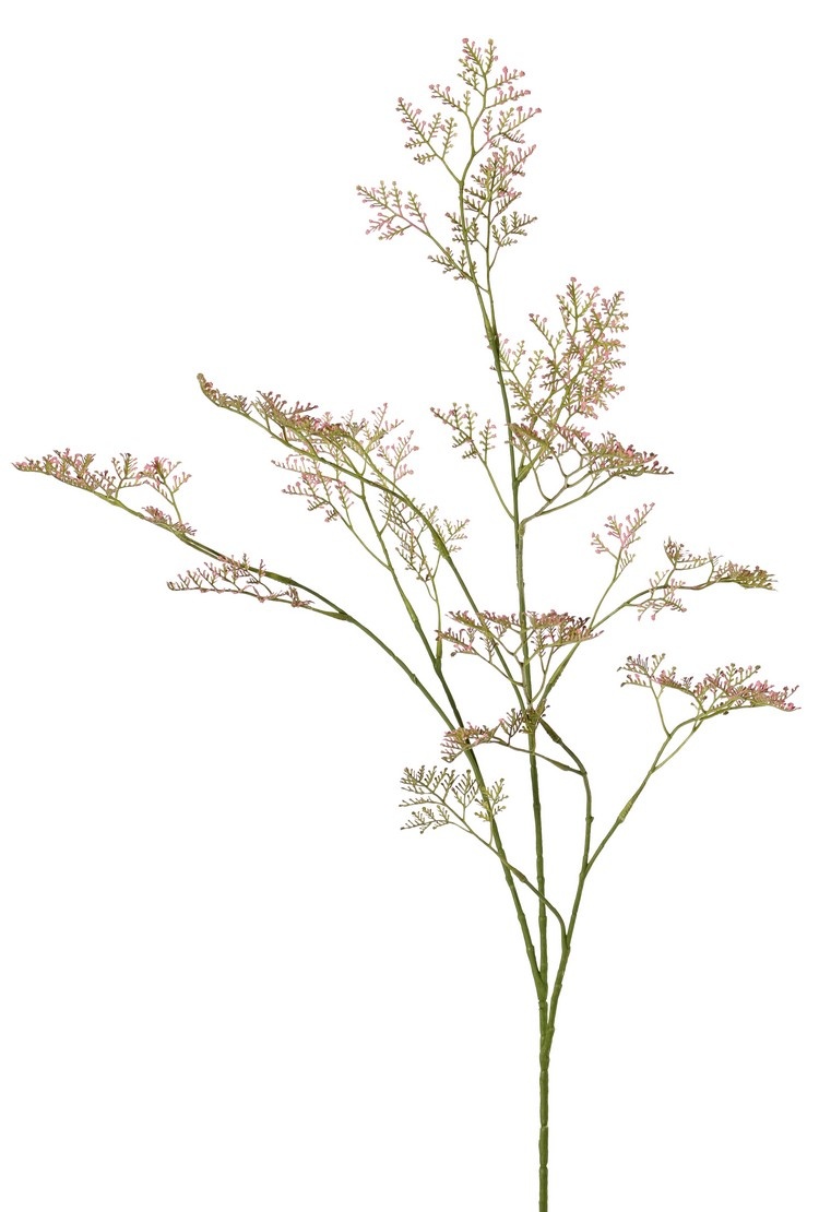 Limonium 3x ramificado, 57 inflorescencias, 100 cm