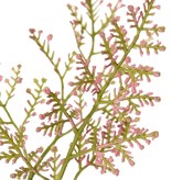 Limonium 3x ramificado, 57 inflorescencias, 100 cm