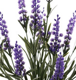 Lavandula, 12 espigas florales, 42 hojas, UV safe,  a. 35cm