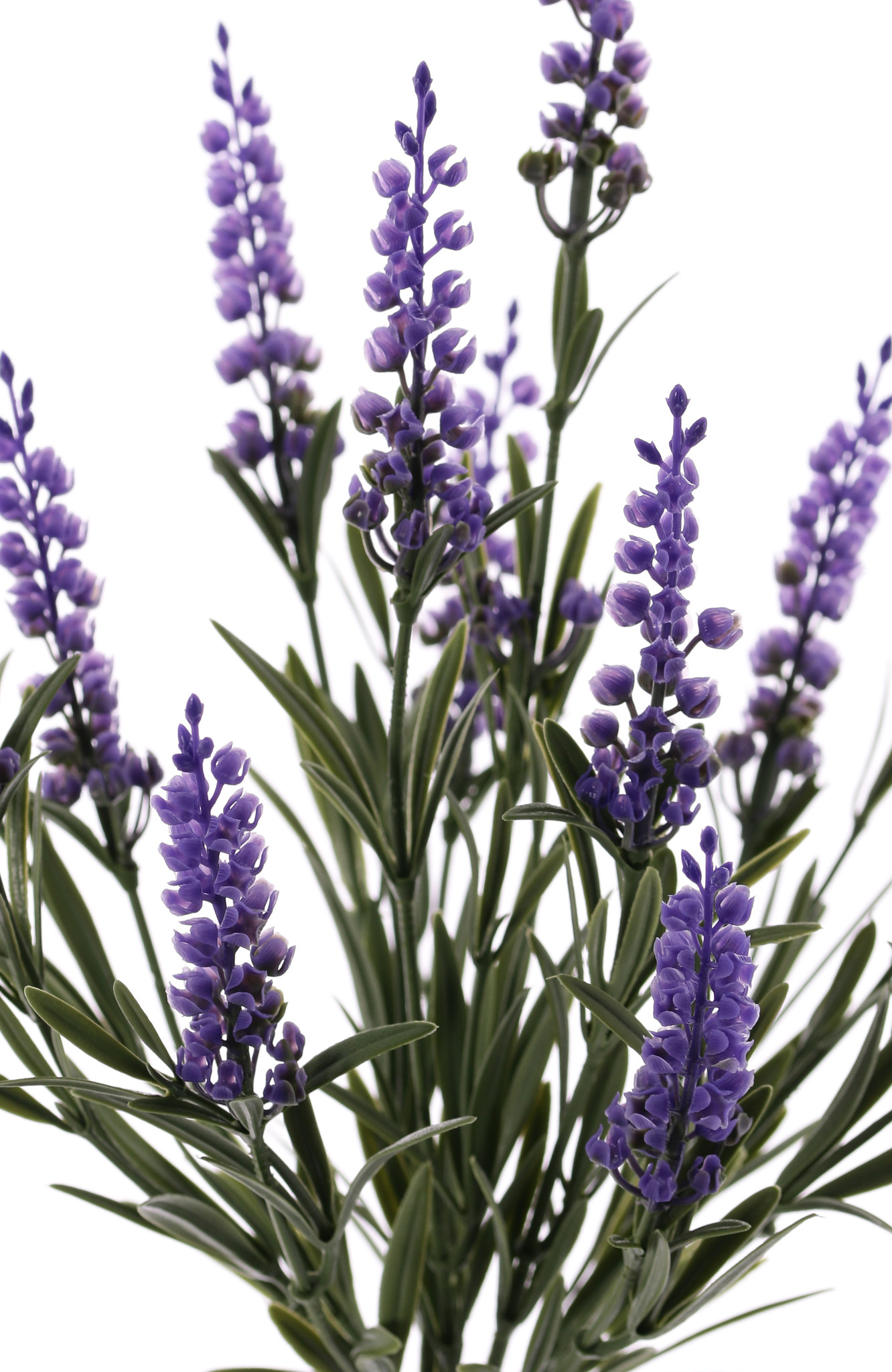 Lavendel (Lavandula), 42 bladeren & 12 bloemen, UV bestendig, 35cm