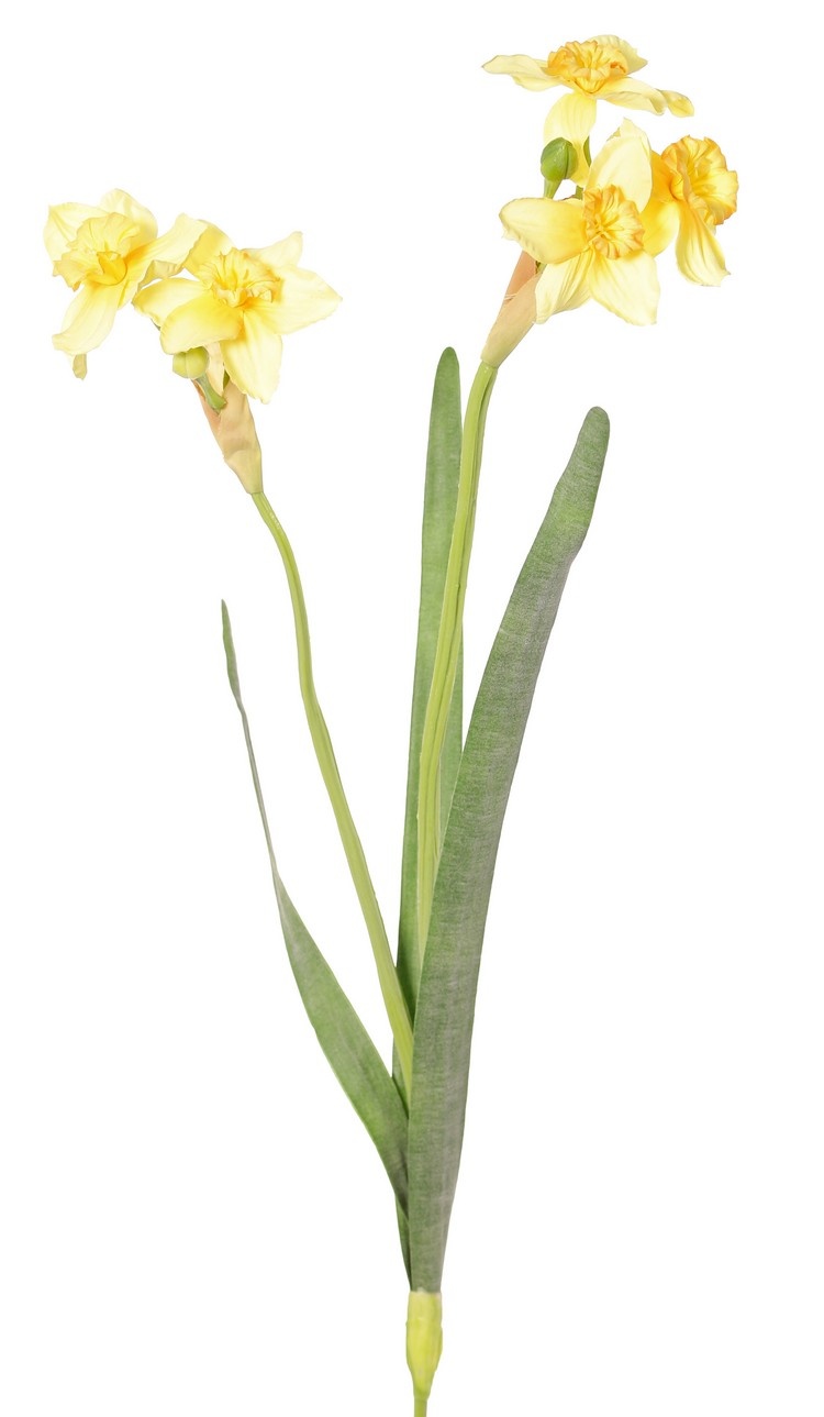 Narcis "de Luxe", 5 bloemen (Ø 6cm) , 2 knoppen & 3 bladeren, (grijs-groen blad), 53cm