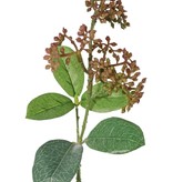 Rama Viburnum Tinus ,  5 hojas, 35cm