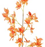 Renanthera coccinea orchid, with 25 polyester flowers, no leaves, 77 cm