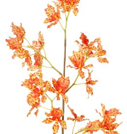 Orquídea Renanthera coccinea, con 25 flores de poliéster, sin hojas, 77 cm