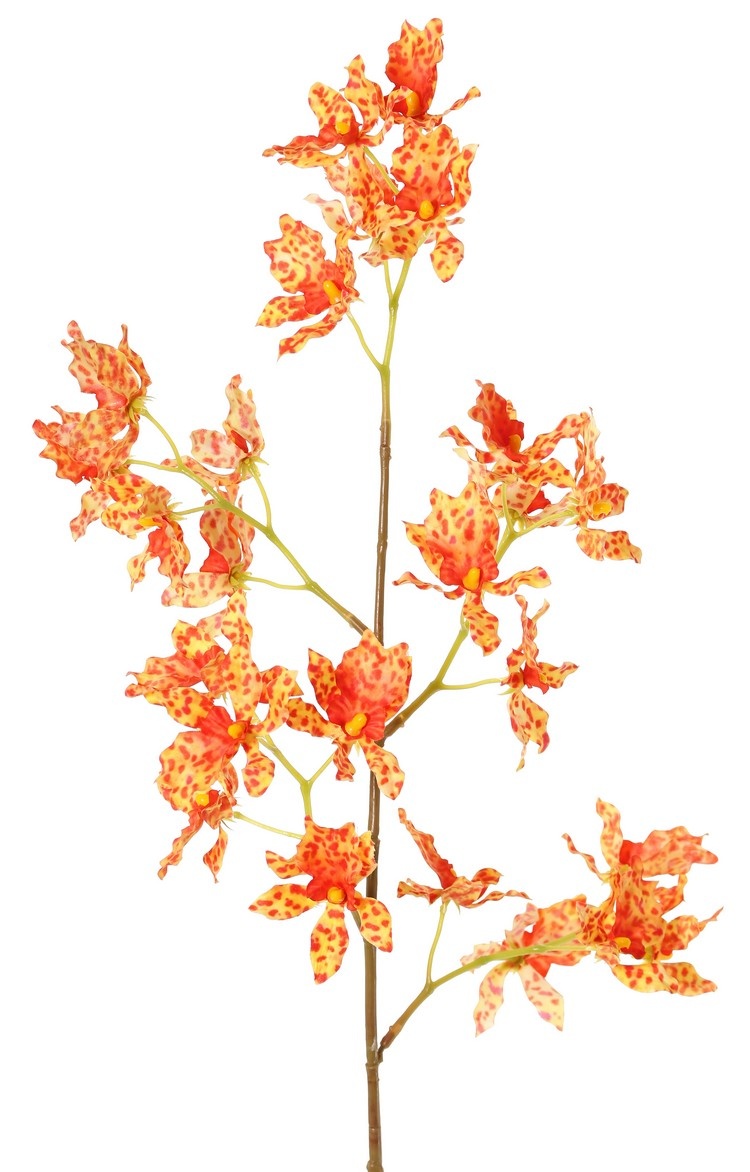 Orquídea Renanthera coccinea, con 25 flores de poliéster, sin hojas, 77 cm