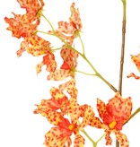 Renanthera coccinea orchid, with 25 polyester flowers, no leaves, 77 cm