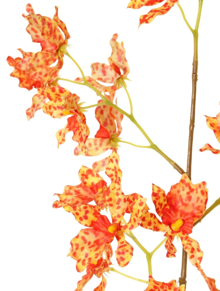 Renanthera coccinea orchid, with 25 polyester flowers, no leaves, 77 cm