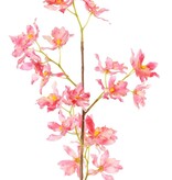 Renanthera coccinea-Orchidee, mit 25 Polyesterblüten, ohne Blätter, 77 cm