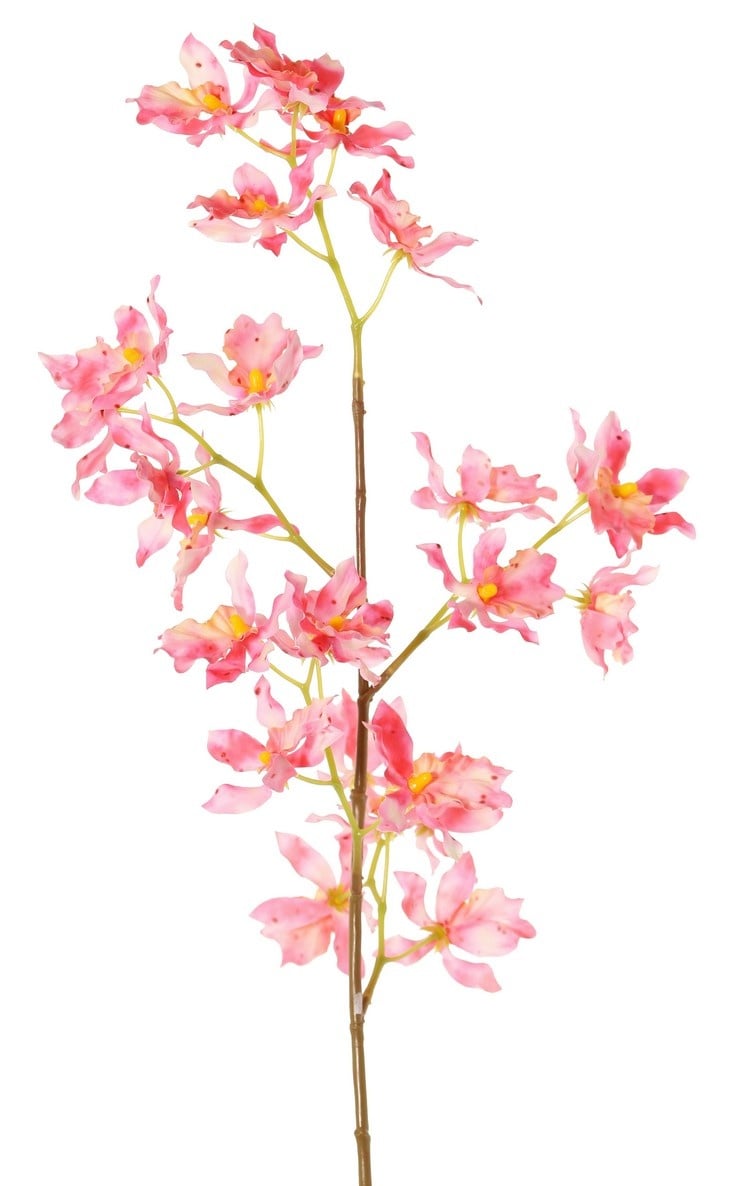 Orquídea Renanthera coccinea, con 25 flores de poliéster, sin hojas, 77 cm