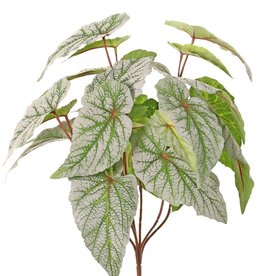 Begonia rex (begonia hoja) 6x ramificado con 21 hojas flocadas, H 34 cm, Ø 30 cm