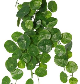 Stephania erecta (Potato plant) met 7 uitlopers, 78 polyester bladeren, 50 cm