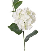 Hortensie "Spring Dream", 10 Blätter, 78cm, Ø 15cm - AKTION