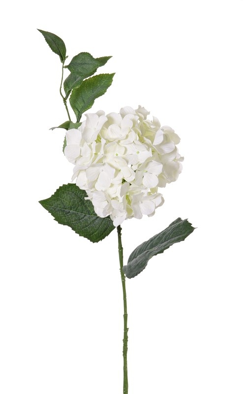 Hortensia "Spring Dream"  1 flor (con 96 petals), 10 hojas , 78cm,  Ø 15cm