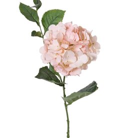 Hortensia "Spring Dream" 1 bloem, 10 bladeren, 78cm, Ø 15cm - ACTIE