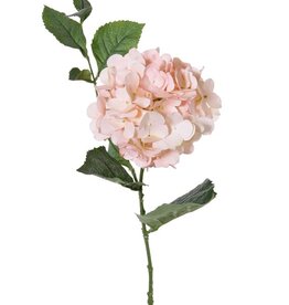 Hydrangea "Spring Dream" x1flr (96petals), x10lvs & vine, 78cm, Ø 15cm