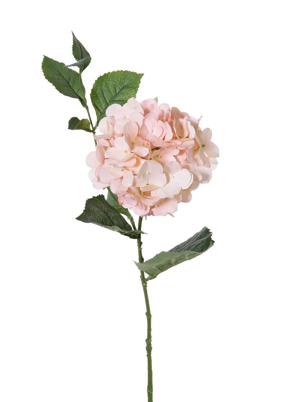Hortensia "Spring Dream" 1 bloem, 10 bladeren, 78cm, Ø 15cm - ACTIE