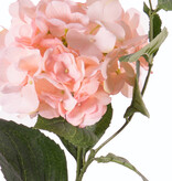 Hortensia "Spring Dream" 1 bloem, 10 bladeren, 78cm, Ø 15cm - ACTIE