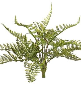 Fern 'Woods' with 14 fern leaves, Ø 30 cm, H. 25 cm