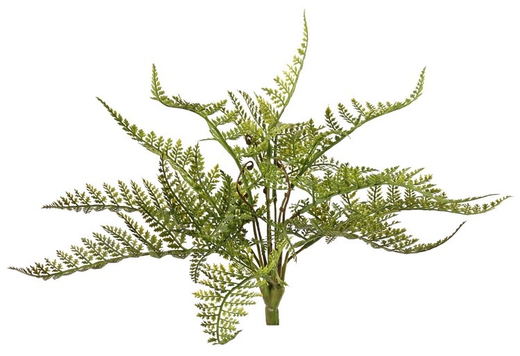 Fern 'Woods' with 14 fern leaves, Ø 30 cm, H. 25 cm