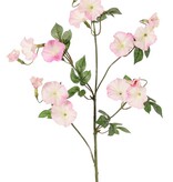 Winde (Convolvulus) x4, 15 bloemen (10 lg /5 sm) & 14 blad, 63 cm