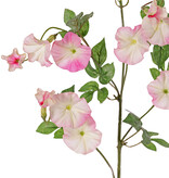 Winde (Convolvulus) x4, 15 bloemen (10 lg /5 sm) & 14 blad, 63 cm