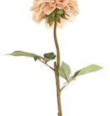 Dahlia, 1 flower, Ø 11 cm, 2 sets of leaves (6 pcs) 58 cm