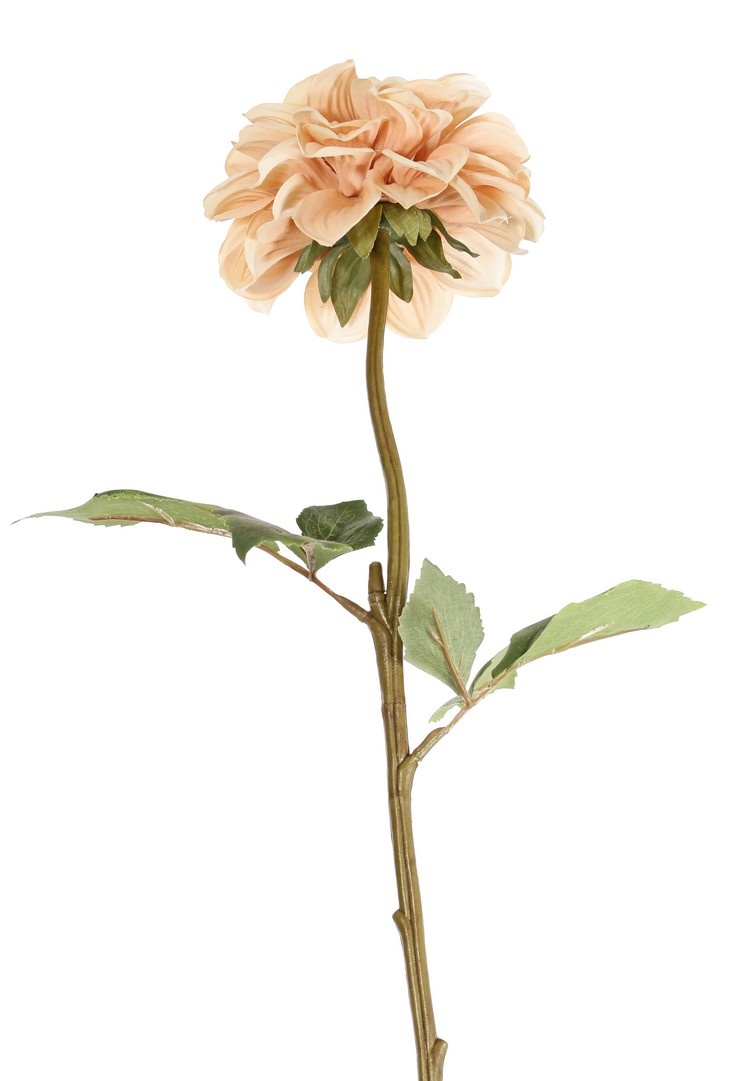 Dahlia, 1 bloem, Ø 11 cm, 2 sets bladeren (6 stuks) 58 cm