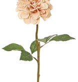 Dalia, 1 flor, Ø 11 cm, 2 juegos de hojas (6 piezas) 58 cm