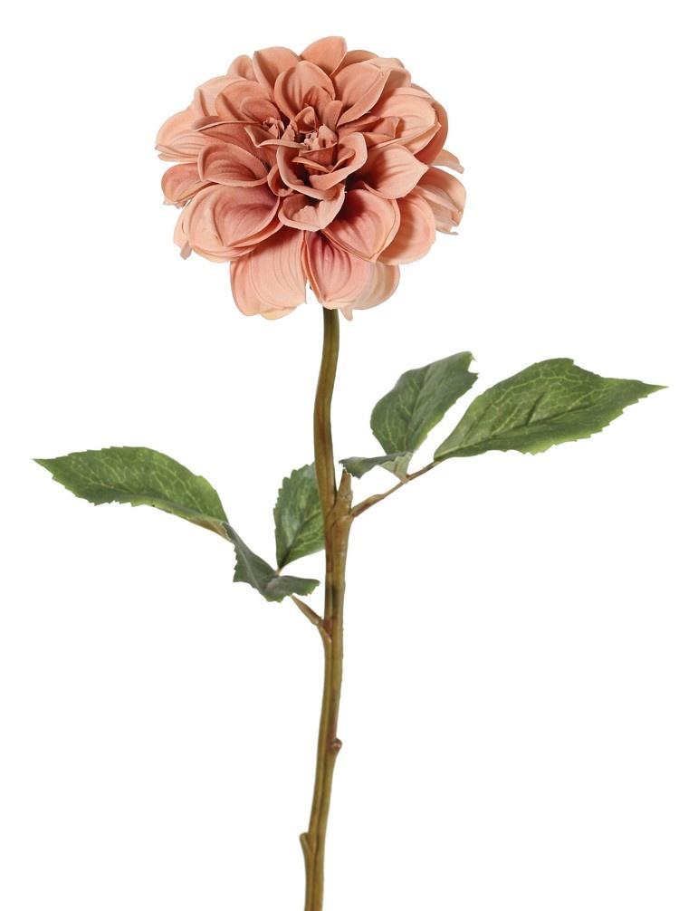 Dahlia, 1 bloem, Ø 11 cm, 2 sets bladeren (6 stuks) 58 cm