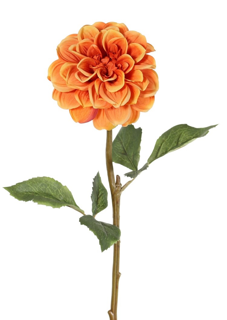 Dahlia, 1 bloem, Ø 11 cm, 2 sets bladeren (6 stuks) 58 cm