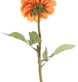 Dahlia, 1 flower, Ø 11 cm, 2 sets of leaves (6 pcs) 58 cm