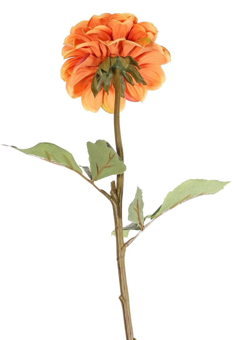 Dahlia, 1 bloem, Ø 11 cm, 2 sets bladeren (6 stuks) 58 cm