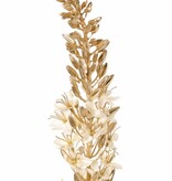 Eremurus (fluweel & satijn) met plastic gouden steel & knoppen, 110 cm