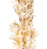 Eremurus (fluweel & satijn) met plastic gouden steel & knoppen, 110 cm