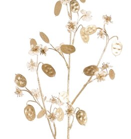 Lunaria (Silberdollar) (satiniert), 20 Blumen, 20 goldene Dollars, goldener Kunststoffstiel, 84 cm