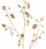 Lunaria (dólares de plata) (satinado), 20 flores, 20 dólares 'dorados', tallo dorado de plástico, 84 cm