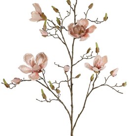 Magnolia branch, 5 branches, 4 flowers, 5 large flower buds