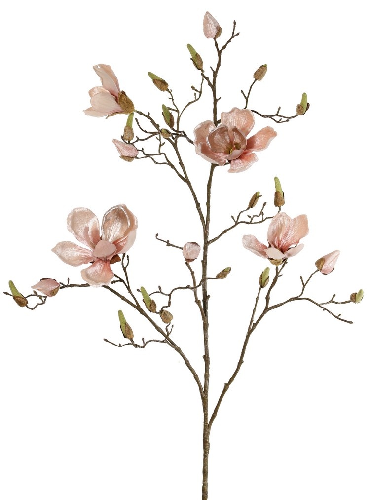 Magnolia branch, 5 branches, 4 flowers, 5 large flower buds, 17 small buds, 107 cm