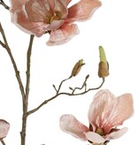 Magnolia branch, 5 branches, 4 flowers, 5 large flower buds, 17 small buds, 107 cm