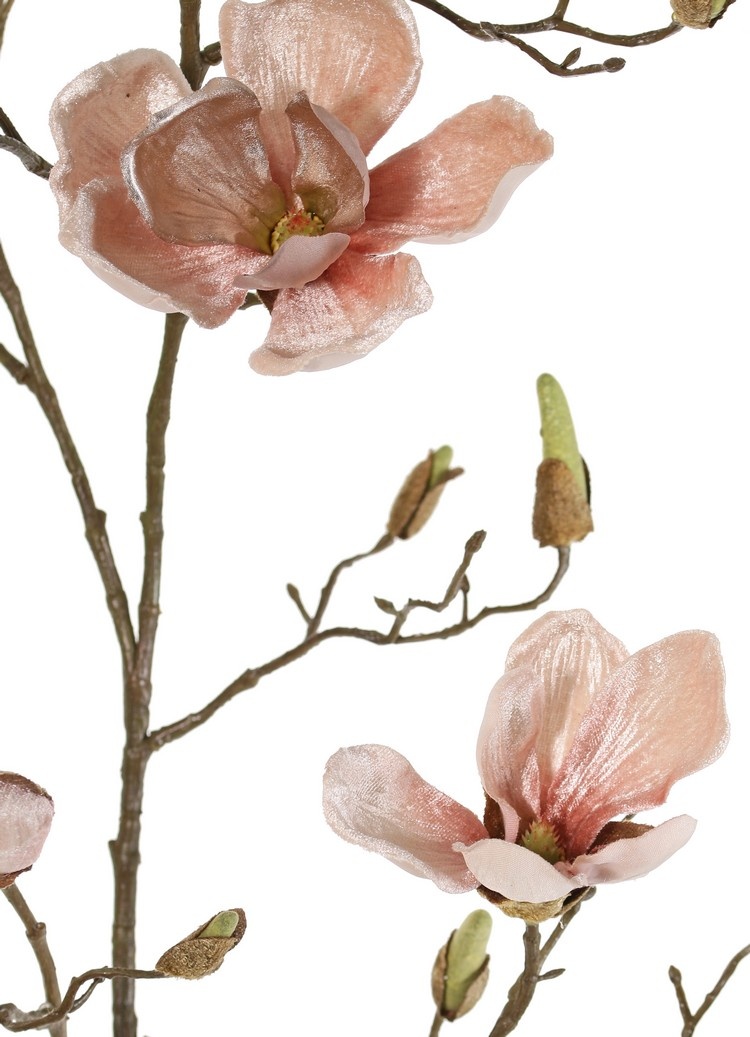 Magnolia branch, 5 branches, 4 flowers, 5 large flower buds, 17 small buds, 107 cm