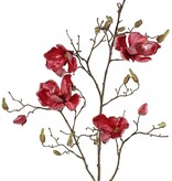 Magnolienzweig, 5x verzweigt, 4 Blumen, 5 große Blütenknospen, 17 kleine Knospen, 107 cm